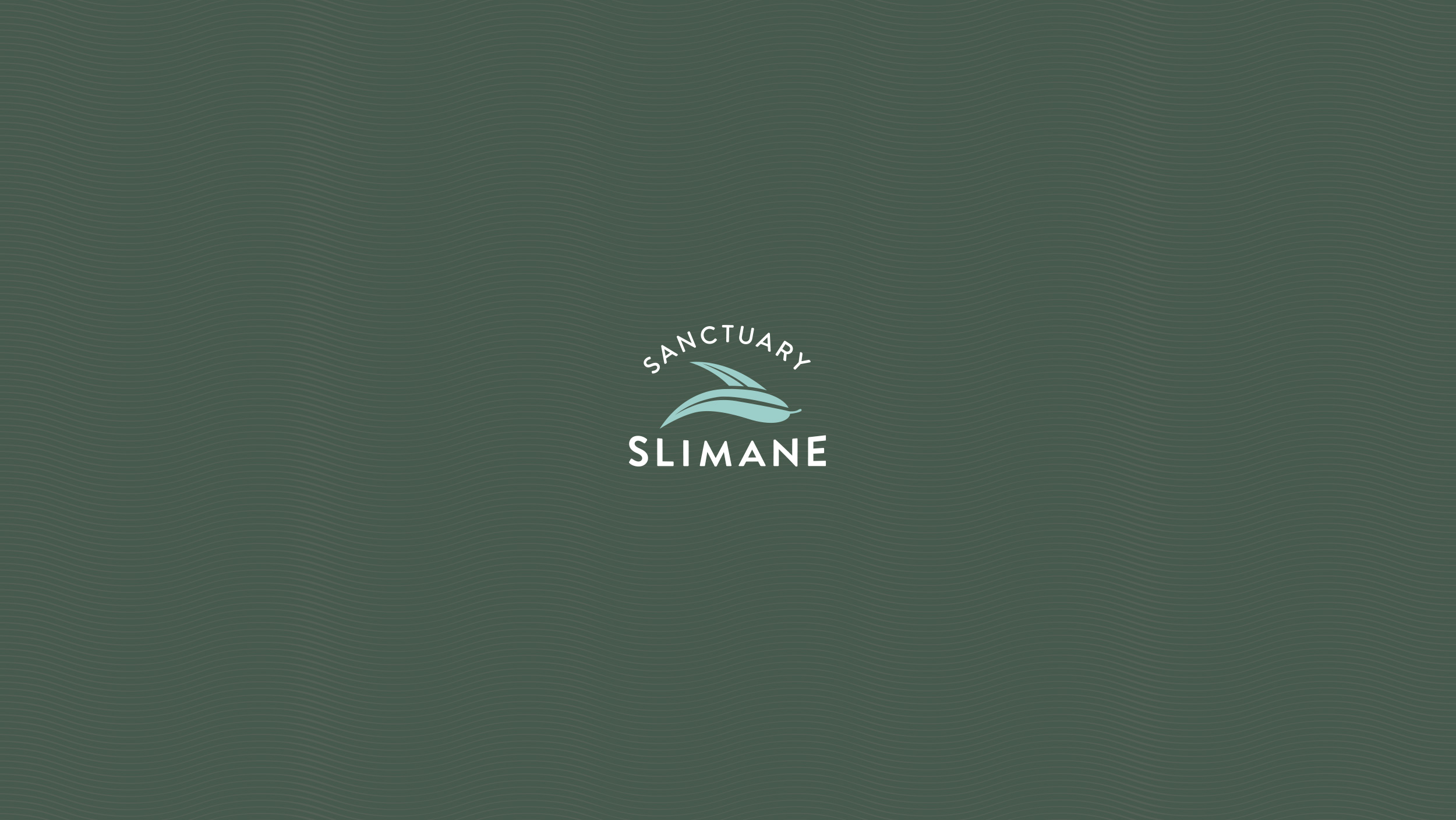 Slimane-Intro-2