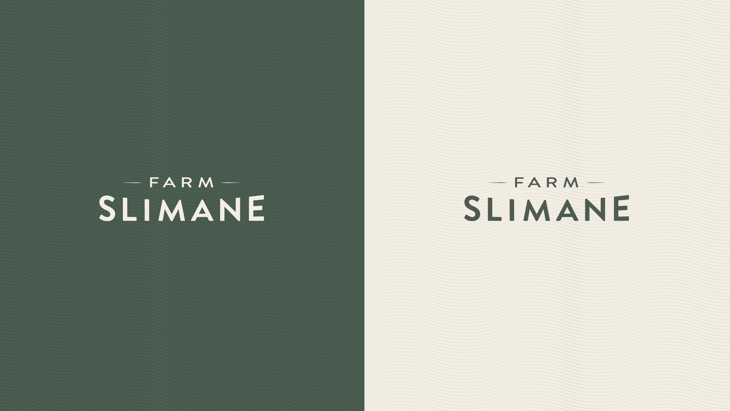 Slimane-Secondary-Logo-3